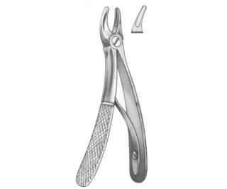 Extracting Forceps For Children - English Pattern